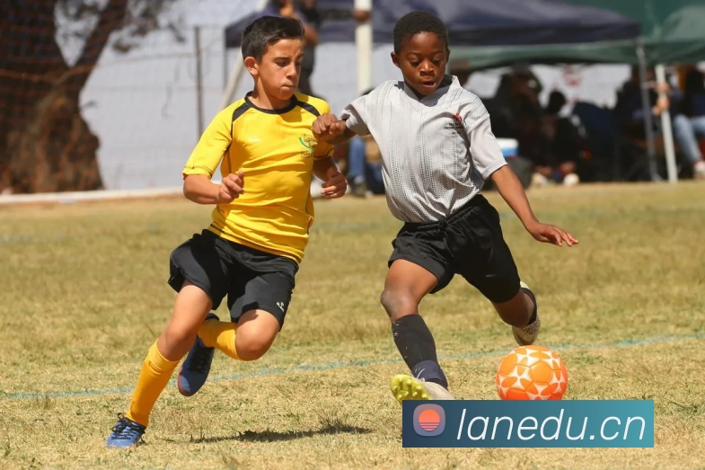 leyu·乐鱼(中国)体育官方网站APP 体育赛事宣传图